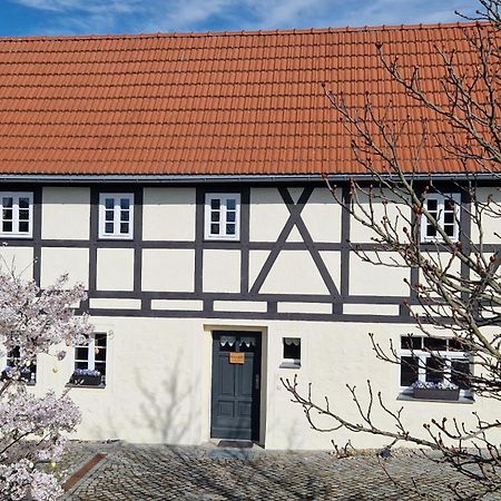 Winzerglueck Apartment Weinböhla Exterior foto